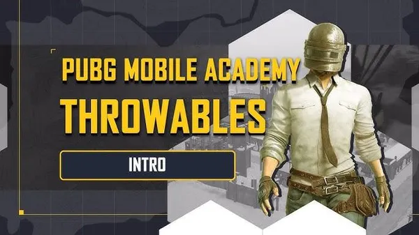 PUBG Mobile - Throwables